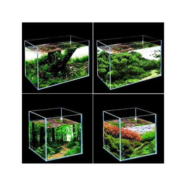 Crystal Clear 12x12x7 Inch Glass Fish Tank – Compact & Stylish Aquarium for Home or Office and more